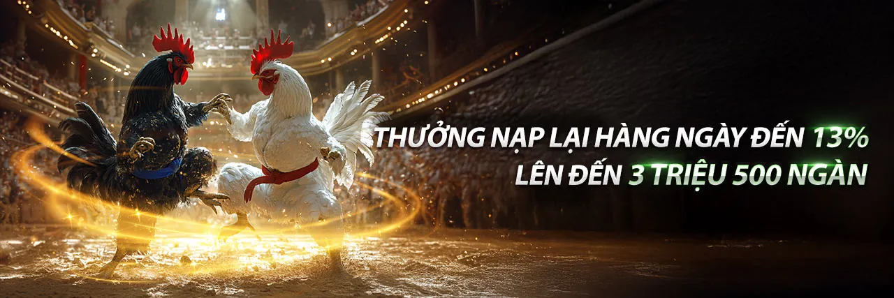 Đá gà trực tuyến f168 login - Trận đấu kịch tính
